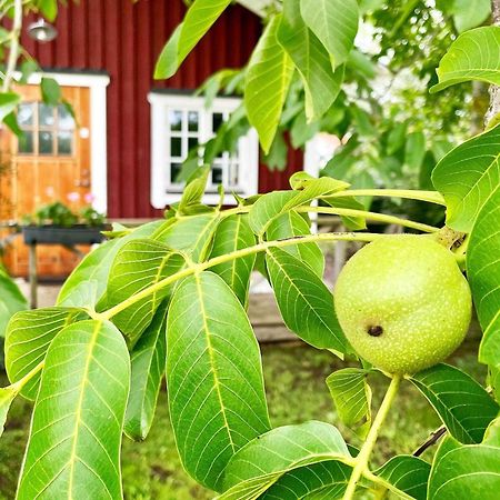 Holiday Home Malaretorpsvaegen Borgholm Ngoại thất bức ảnh