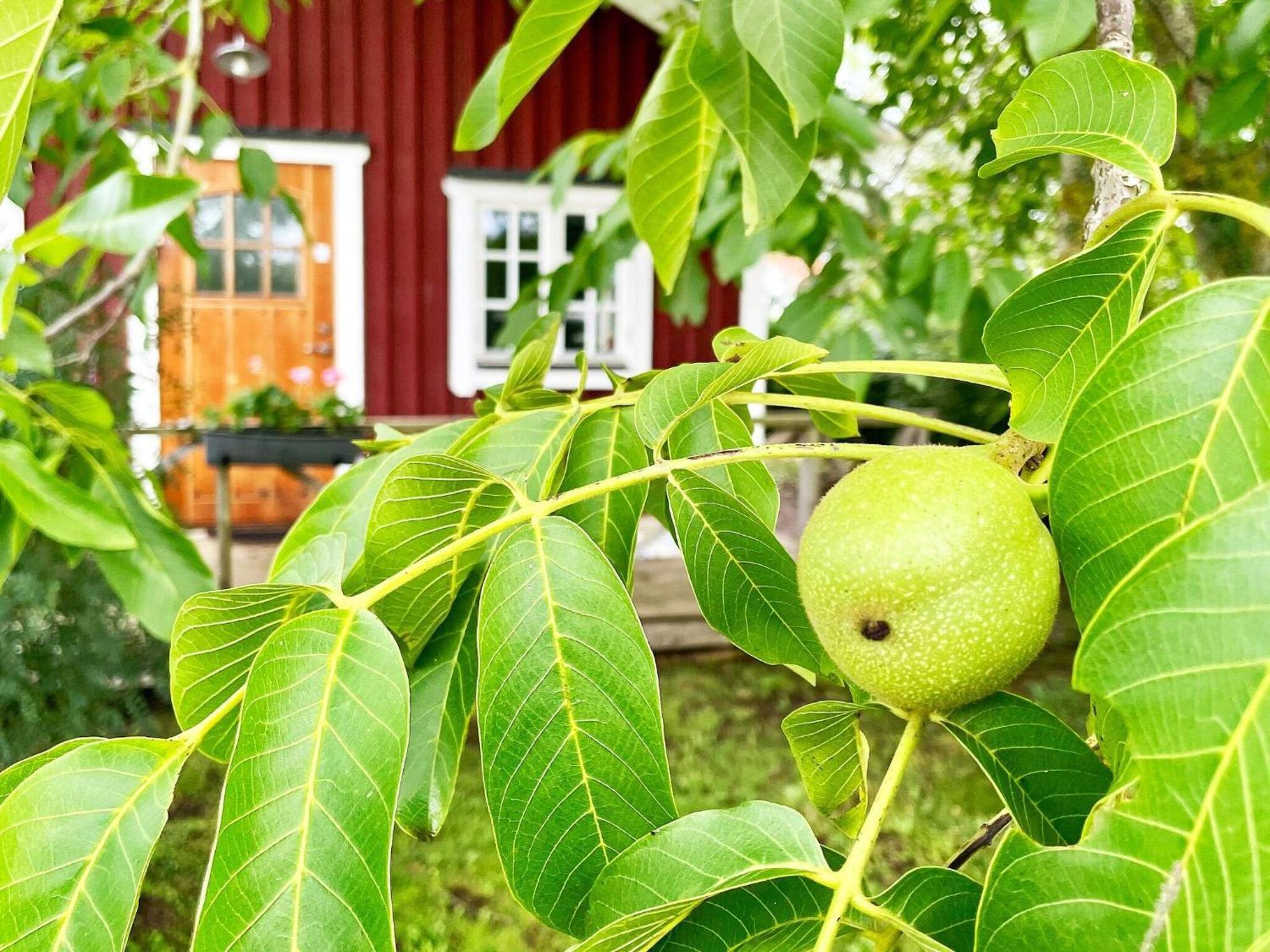 Holiday Home Malaretorpsvaegen Borgholm Ngoại thất bức ảnh